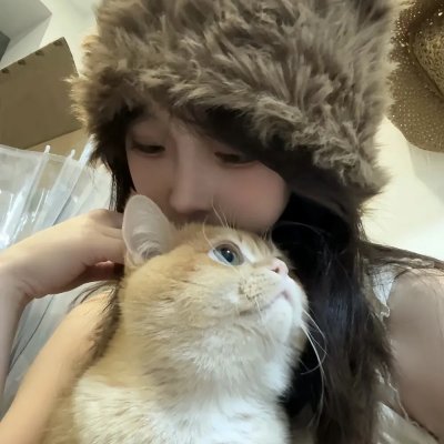 笨蛋的悲剧人生